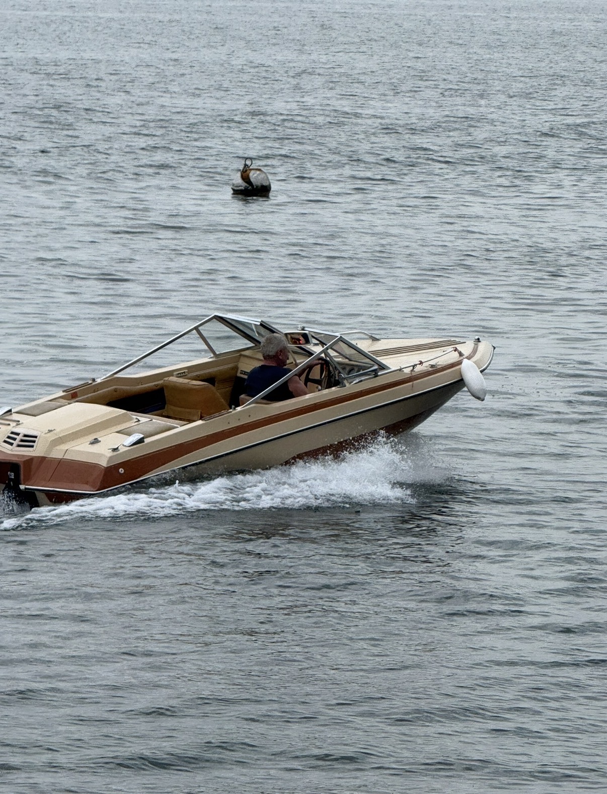 Alexander at the helm of the Glastron SSV-164 powering across Lake Maggiore